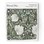 Wallpaper sample of William Morris Pimpernel pattern in Dreamy Sage colorway, showing the Arts and Crafts botanical print up close.