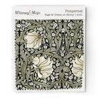 Wallpaper sample of William Morris Pimpernel pattern in Sage & Cream on Ebony colorway, showing the Arts and Crafts botanical print up close.