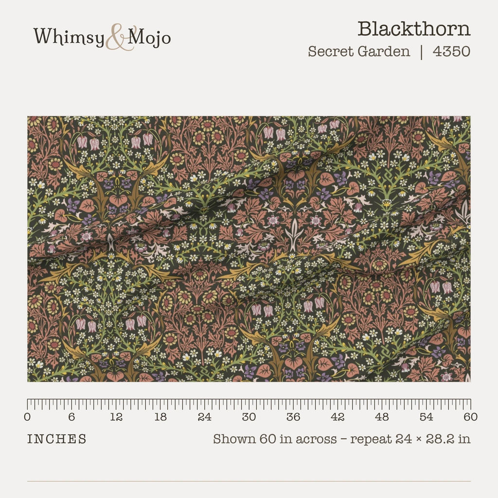 Blackthorn in Secret Garden shown at true scale with a ruler, 60 inches across