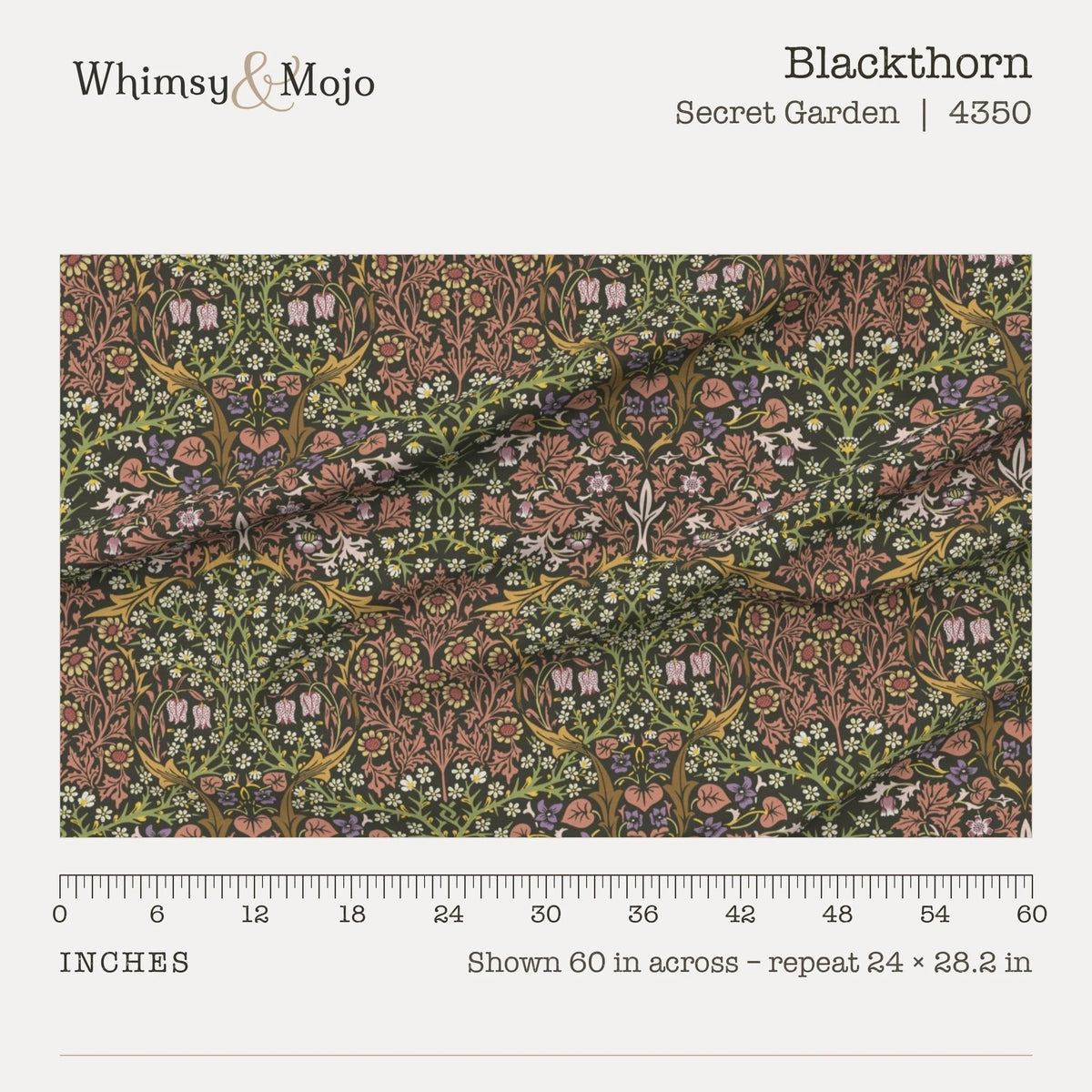 Blackthorn in Secret Garden shown at true scale with a ruler, 60 inches across