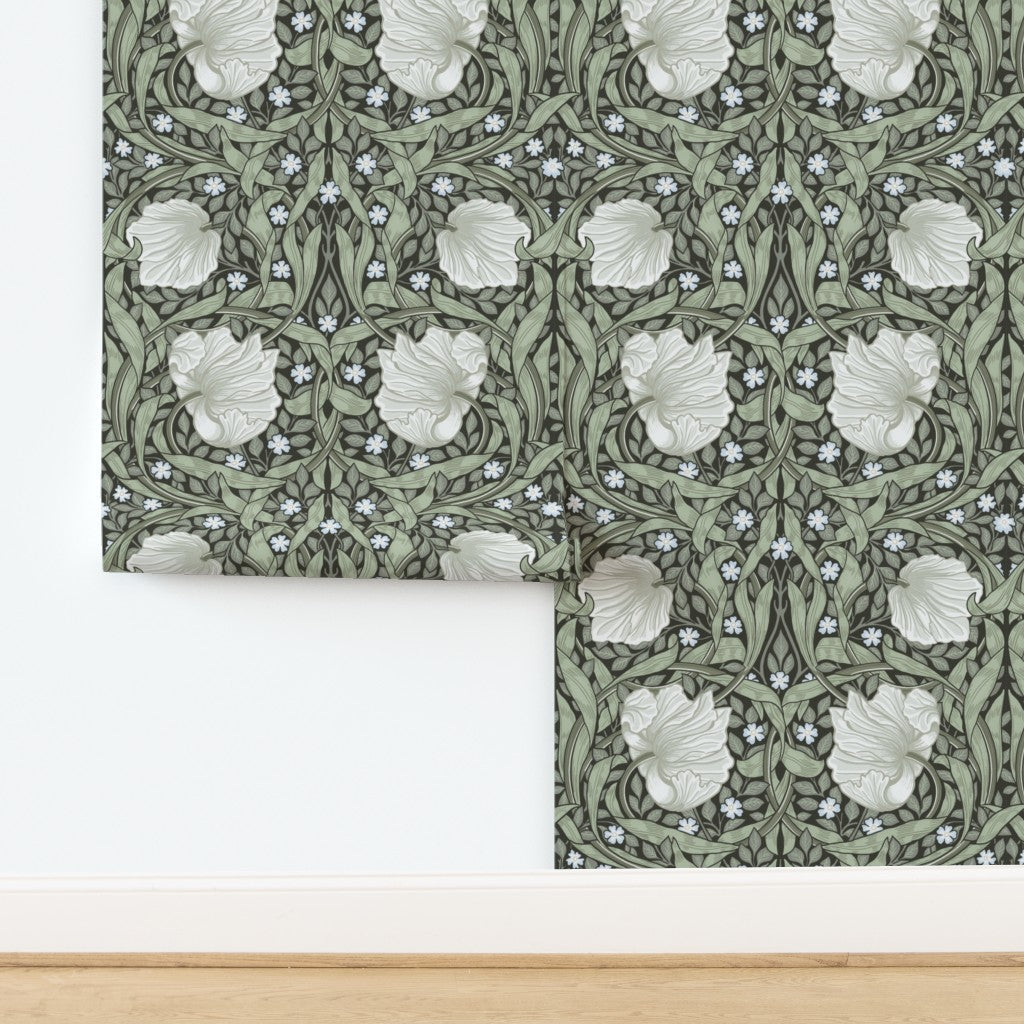 William Morris Pimpernel wallpaper in Dreamy Sage shown partially installed on a wall.